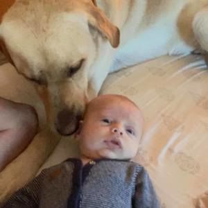 Meet your Posher, Zachary